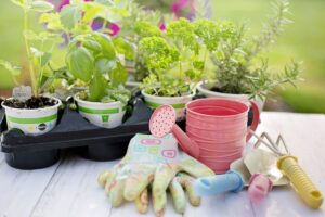 Choose Your Easy-to-Grow Herbs