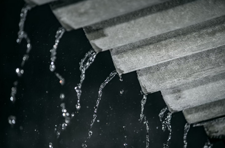 Leaks and Water Damage