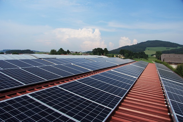 Monocrystalline Solar Panels